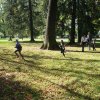 dsc00734 1280 x 852
